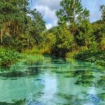 Florida: Emerald Cut Kayak Adventure - A Step-by-Step Look at the Experience