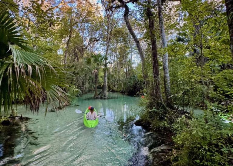 Florida: Rock Springs Run Clear Kayak Adventure - The Sum Up