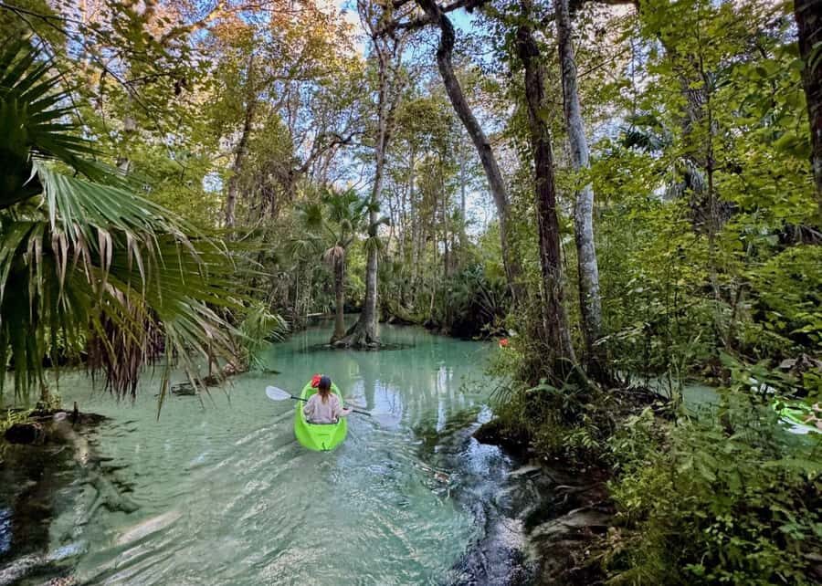 Florida: Rock Springs Run Clear Kayak Adventure - The Sum Up