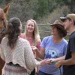 Florissant: Private Horse Experience with Rescue Mustangs - Who Should Consider This Tour?