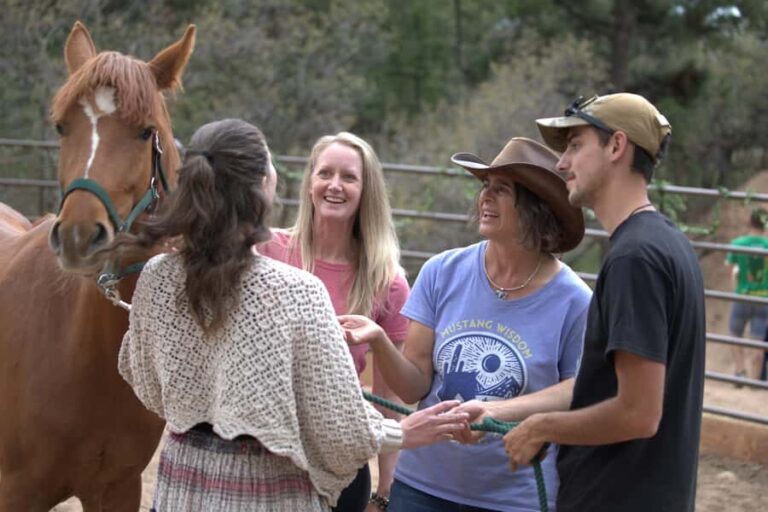 Florissant: Private Horse Experience with Rescue Mustangs - Who Should Consider This Tour?