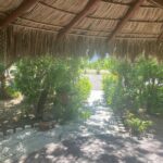 Foco Tonal Sound Vortex Meditation Experience in Los Cabos - Why This Tour Is Worth Considering