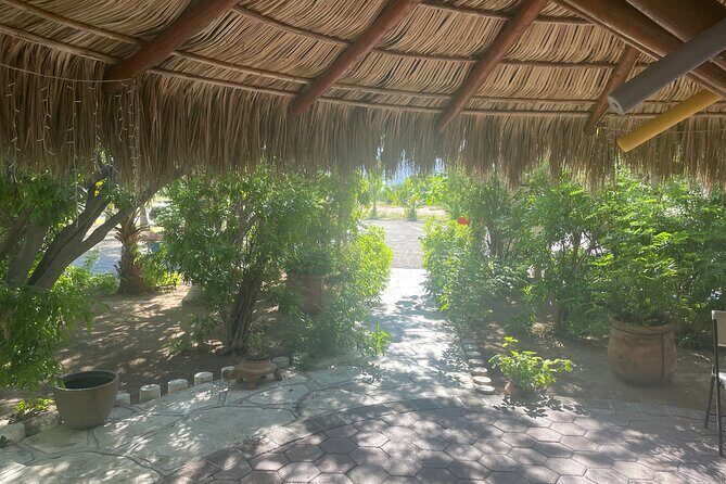 Foco Tonal Sound Vortex Meditation Experience in Los Cabos - Why This Tour Is Worth Considering