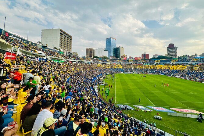 Football game Club America + Estadio Azteca + Paseo Xochimilco - A Complete Look at the Tour Experience