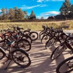 Fort Collins: Guided E-Bike City Tour with Local Highlights - In Summary: Why Choose This Tour?