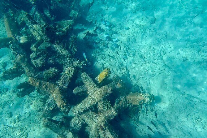 Fort Lauderdale: Ocean Reef Snorkeling Tour w/ Snacks & Drinks - Who Will Love This Tour?