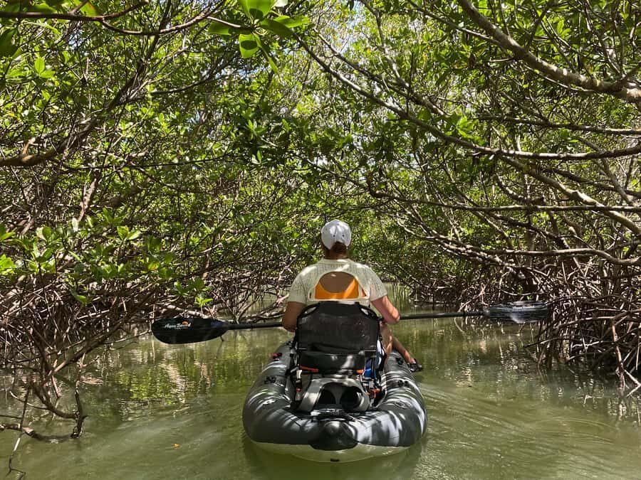 Fort Pierce: 2-Hour Prehistoric Preserve Kayak Tour - Break Down of the Itinerary