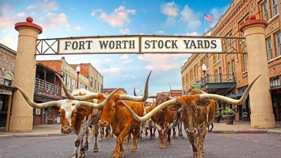 Fort Worth: Heritage and Landmarks Open-Air Tour - The Sum Up: Is This Tour Worth It?
