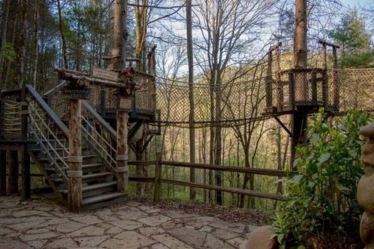 Foxfire Mountain: Hiking & Swinging Bridge Family Adventure - Who Will Enjoy Foxfire Mountain?