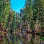 Frida Kahlo Xochimilco and University City - Final Thoughts