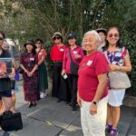 Friends of the Cabildo Garden District Walking Tour - Who Will Love This Tour?