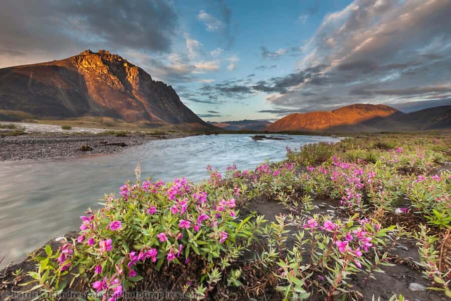 From Anchorage: 6-Day Best of Grand Alaska Tour for Ages 50+ - Seward and Kenai Fjords: Wildlife and Glaciers