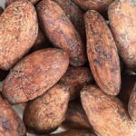 From Cacao to Chocolate: Private Tour in Manta - Detailed Breakdown of the Tour Experience