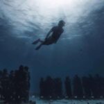From Cancun: Cenote Snorkeling - A Practical and Authentic Look at Cancun’s Cenote Snorkeling Tour