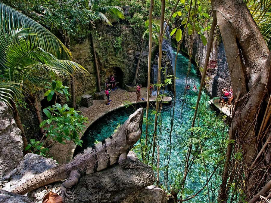 From Cancun: Full Combo to Xcaret Park! - Who Should Consider This Tour?