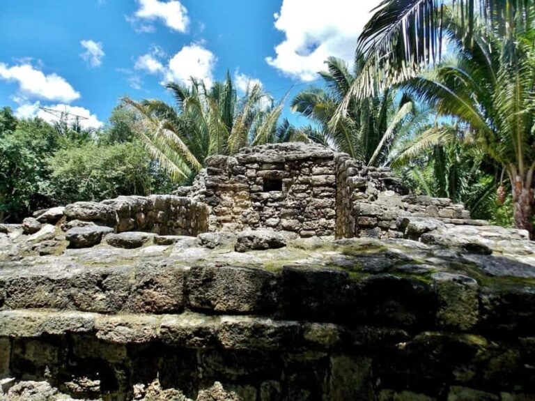 From Costa maya : mayan ruins and stop at the fruit market . - An In-Depth Look at the Tour
