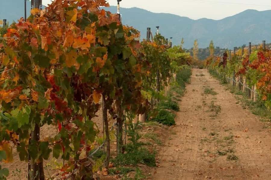 From Cottonwood: 2-Hour Water to Wine Kayak Tour - Exploring the Verde River and Alcantara Vineyards
