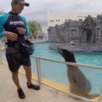 From Cozumel: Chankanaab Admision + Snorkel +Open Bar +Lunch - A Closer Look at the Chankanaab Experience