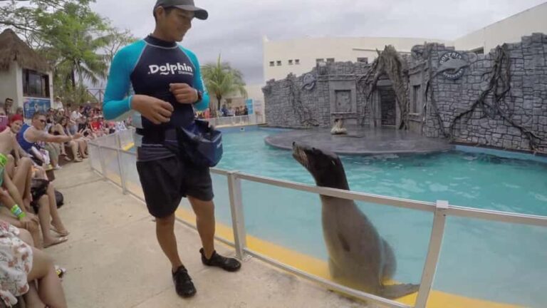 From Cozumel: Chankanaab Admision + Snorkel +Open Bar +Lunch - A Closer Look at the Chankanaab Experience