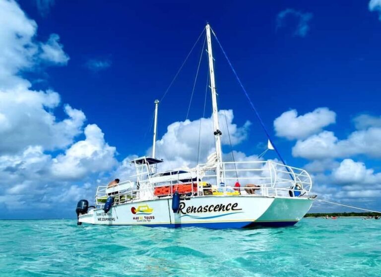 From Cozumel: El Cielo reef by Catamaran Snorkel Adventure - El Cielo: The Star of the Show