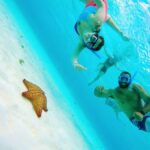 From Cozumel: Starfish, Stingrays & El Cielo Beach Snorkel - The Complete Experience: An In-Depth Look