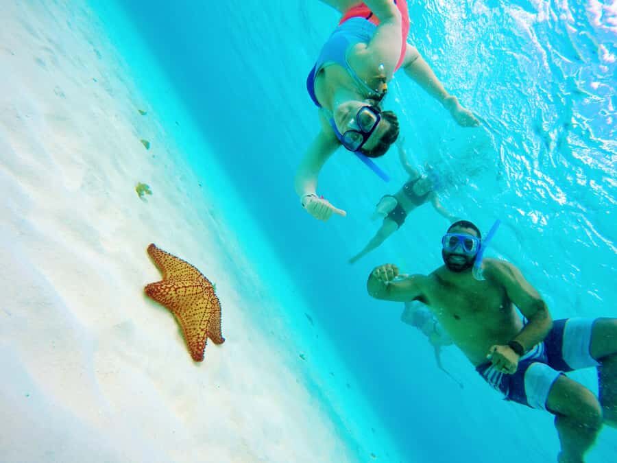 From Cozumel: Starfish, Stingrays & El Cielo Beach Snorkel - The Complete Experience: An In-Depth Look