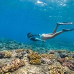 From Fajardo: All-Inclusive Boat & Snorkeling in Culebra Island - Exploring the Experience in Detail