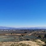 From Guadalajara: Tequila Tour: Tasting Experience & Lunch - Exploring the Heart of Jalisco’s Tequila Region