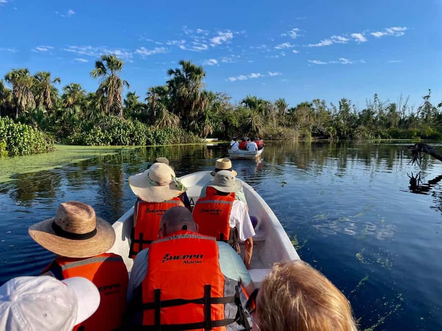 From Huatulco: Crocodiles and Turtles Eco Day-Tour - A Detailed Look at the Experience