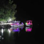 From Huatulco: Magical Bioluminescence Experience - Detailed Review