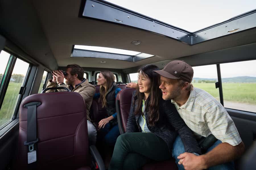 From Jackson: 4-Hour Eco Safari in Grand Teton National Park - The Sum Up: Who Is This Tour Best For?