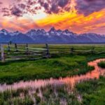 From Jackson: Full-day Grand Teton Wildlife and Scenery Tour with Lunch - A Deep Dive into the Experience