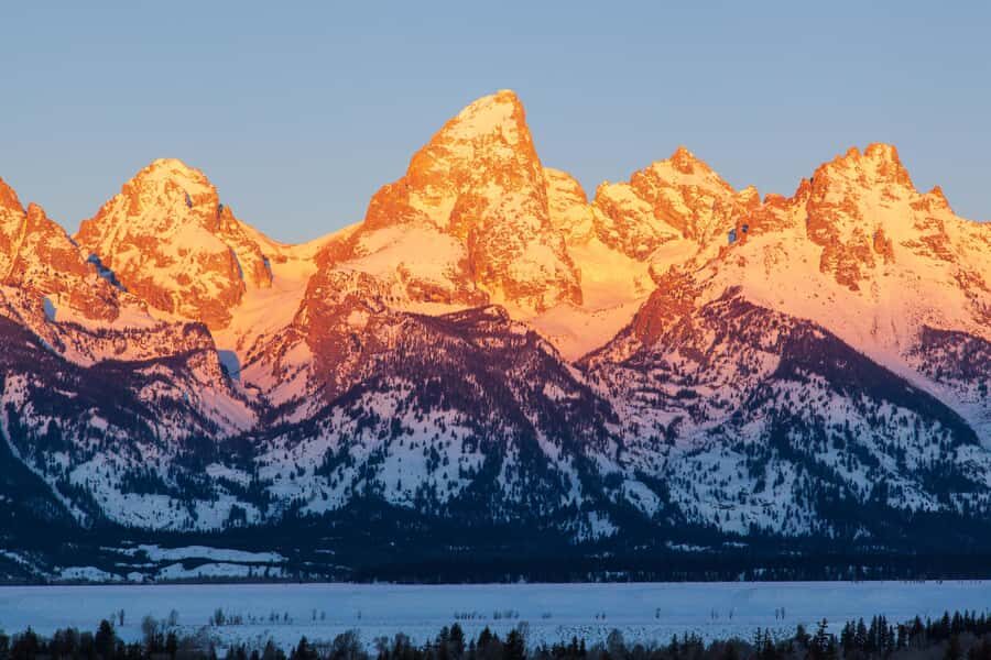 From Jackson Hole: Half-Day Grand Teton Winter Wildlife Tour - Who Would Love This Tour?