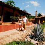 From Mazatlan - La Noria Artisan Tour The Blue Agave - FAQ: Your Questions About the Mazatlan - La Noria Artisan Tour