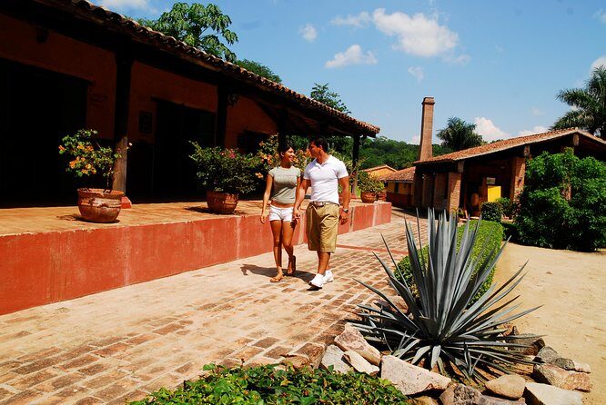 From Mazatlan - La Noria Artisan Tour The Blue Agave - FAQ: Your Questions About the Mazatlan - La Noria Artisan Tour