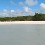 From Mérida: Celestún, flamingos, and the beach - An in-depth look at what you can expect