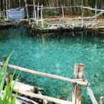 From Mérida: Dzibichaltún, El Corchito, and Progreso Trip - The Sum Up