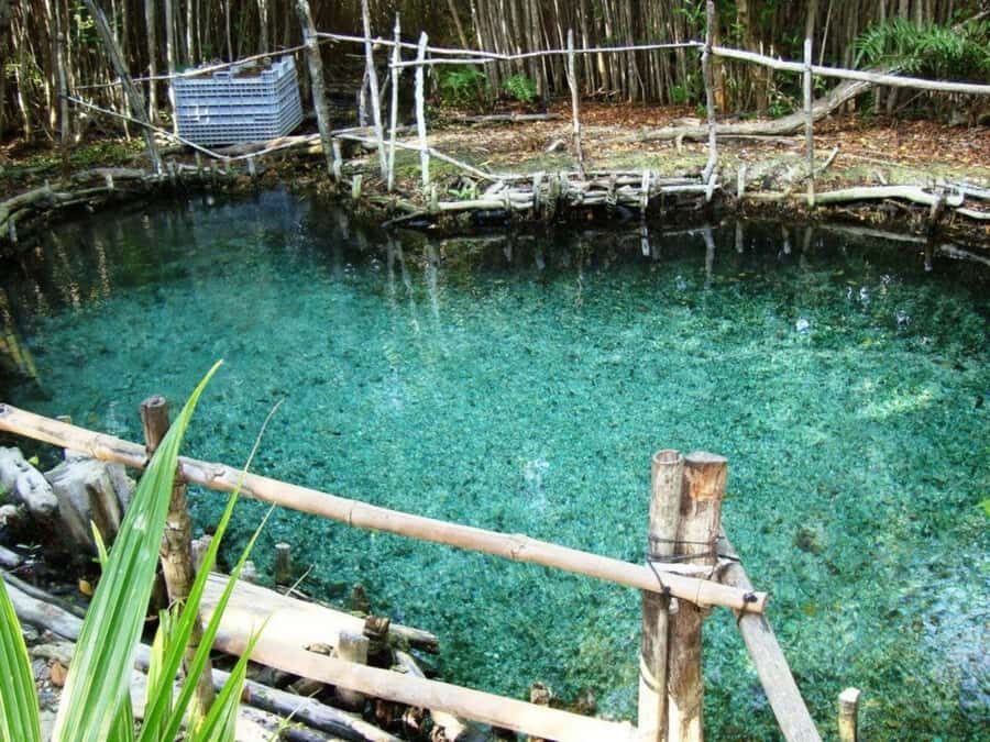 From Mérida: Dzibichaltún, El Corchito, and Progreso Trip - The Sum Up