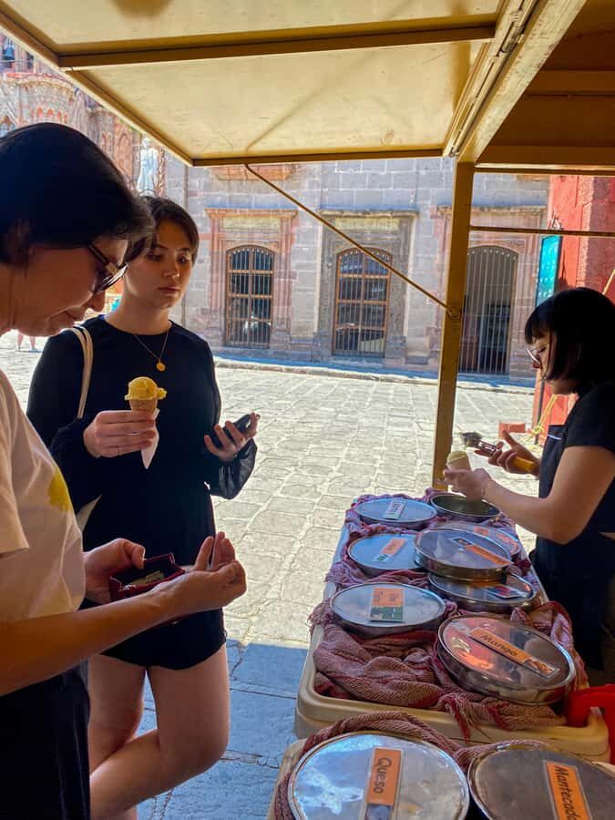 From Mexico City: Day Tour of the Colonial City of San Miguel de Allende - Exploring the Highlights of San Miguel de Allende