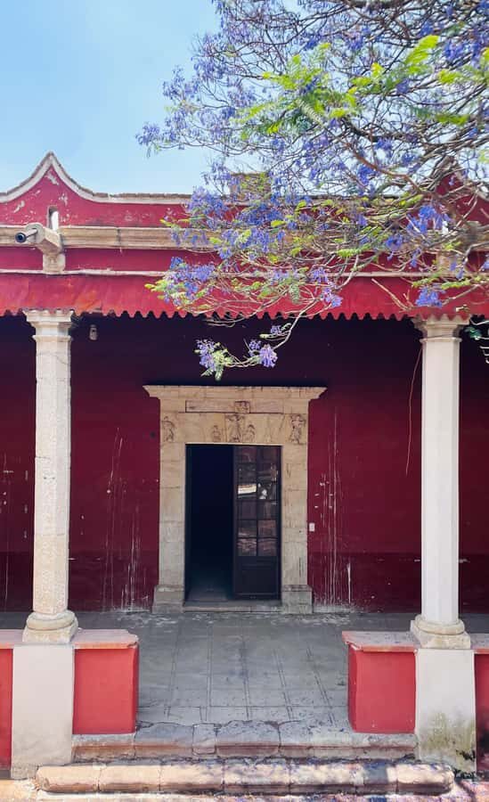 From Mexico City: Horseback Riding in Mexico - Practical Details and What to Expect