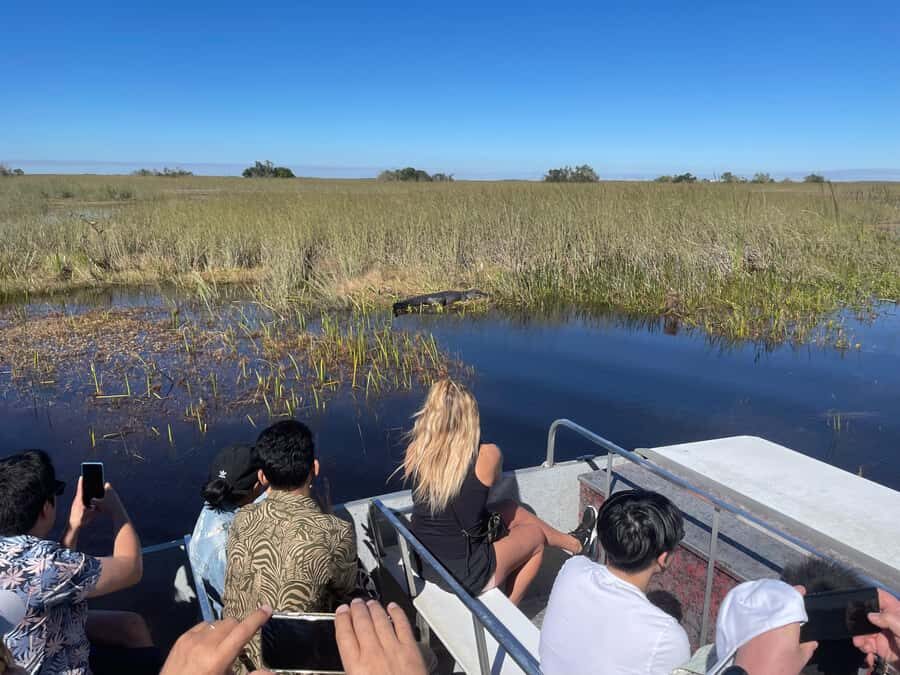 From Miami: Everglades Airboat Gator Spotting Tour - FAQ