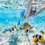 From Miami: Key West Day Trip with Narration - Who Should Consider This Tour?