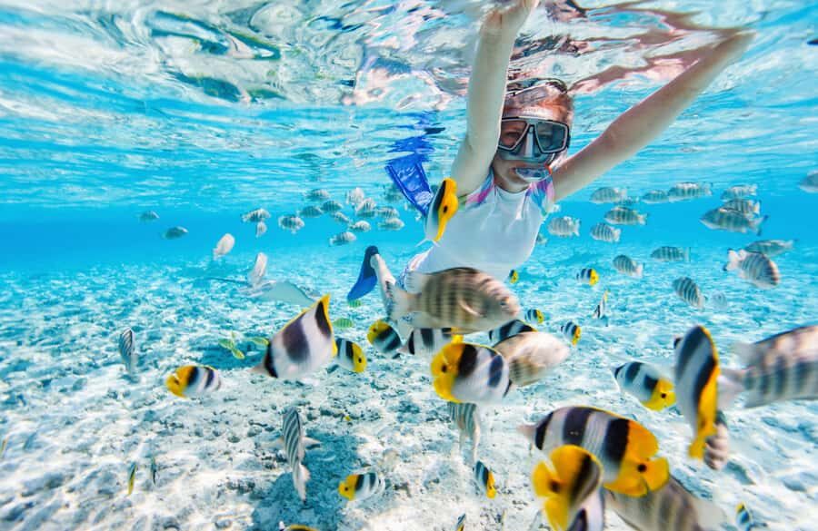 From Miami: Key West Day Trip with Narration - Who Should Consider This Tour?