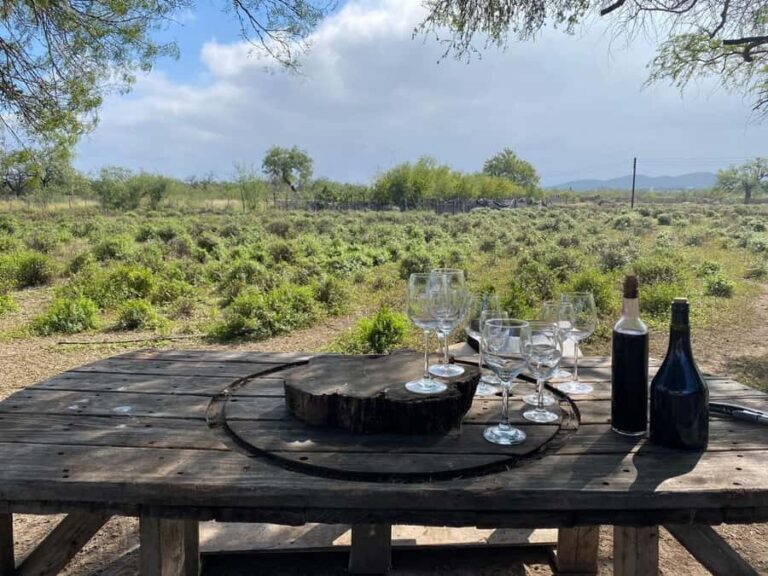 From Monterrey: Tour of the Magical Town of Higueras - FAQs