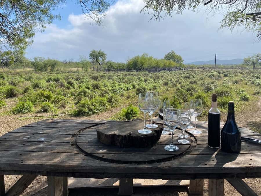 From Monterrey: Tour of the Magical Town of Higueras - FAQs