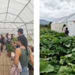 From Monterrey: Visits to the Organic Gardens - Exploring the Organic Gardens Experience