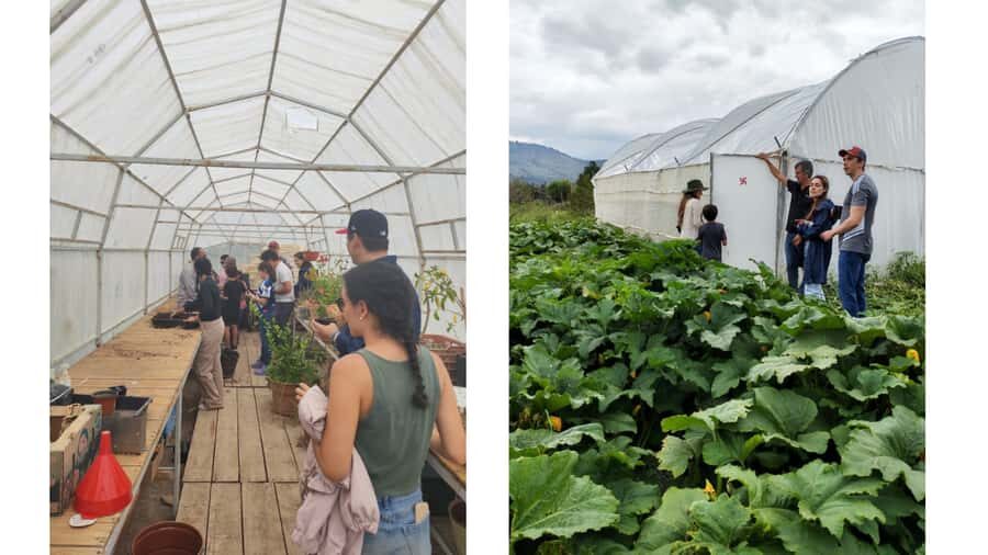 From Monterrey: Visits to the Organic Gardens - Exploring the Organic Gardens Experience
