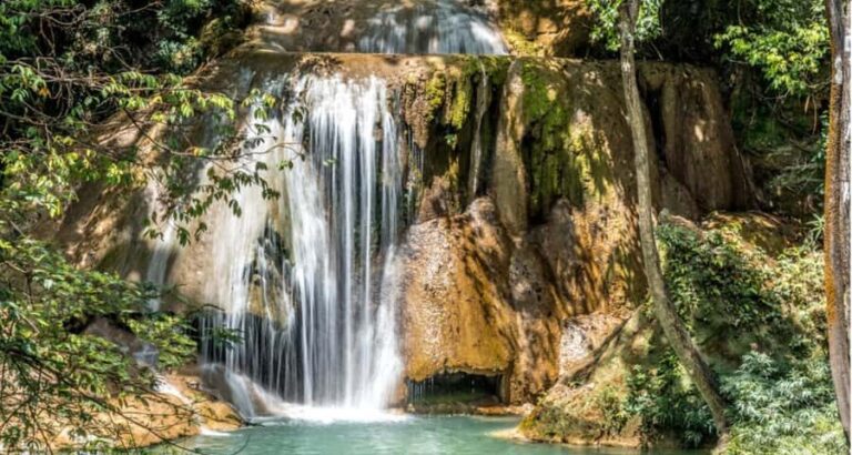 From Palenque: Roberto Barrios Waterfalls Excursion - A Closer Look at the Roberto Barrios Waterfalls Tour