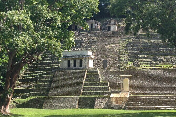 From Palenque to Bonampak - Yaxchilan Selva 1 day - A Day in the Heart of the Jungle: What to Expect