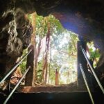 From Playa del Carmen Tour Tulum Adventure - Practical Details that Matter